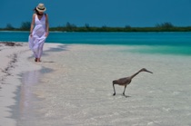 Bird with my daughter, Cayo Largo del Sur, by marcorossimusic
