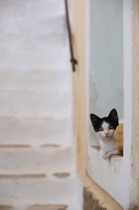Curious eyes, Paros, by marcorossimusic
