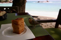 Ready for eating, Seychelles, by marcorossimusic