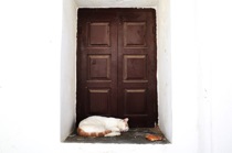 Sleeping cat, Folegandros, by marcorossimusic