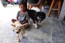 Dog with eyebrows, Nusa Lembongan, Bali, by marcorossimusic