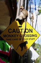 Monkey Sign, Ubud, Bali, by marcorossimusic