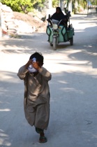 Shy boy, Hangnaameedhoo, Maldives, by marcorossimusic Shy boy, Hangnaameedhoo, Maldives, by marcorossimusic
