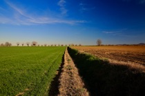 Farming, Piacenza Region, by marcorossimusic Farming, Piacenza Region, by marcorossimusic