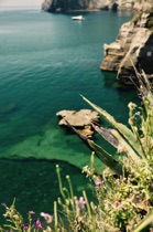 Agave, Ischia, by marcorossimusic Agave, Ischia, by marcorossimusic
