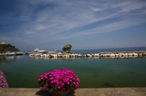 Flowers and mushroom by the sea, Ischia. by marcorossimusic