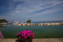 Flowers and mushroom by the sea, Ischia. by marcorossimusic Flowers and mushroom by the sea, Ischia. by marcorossimusic