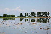 Mirroring, Pianura Padana, by marcorossimusic