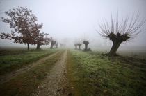Blurred path 2, Pianura Padana, by marcorossimusic