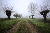 Blurred path, Pianura Padana, by marcorossimusic
