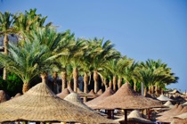 Umbrellas and palm trees, Sharm El Sheikh, by marcorossimusic
